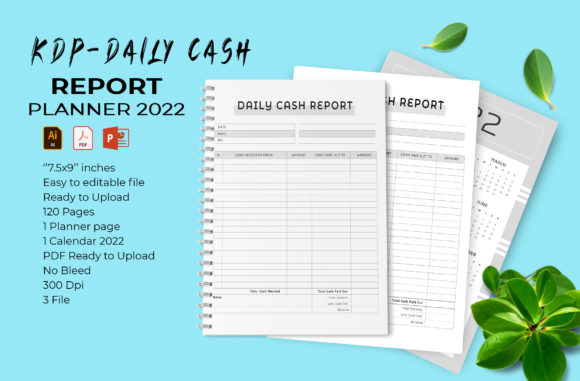 Daily Cash Report - KDP Interior s: A Practical Guide to Quality and Usability